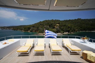 HAPPY DOLPHIN - The Sun Deck